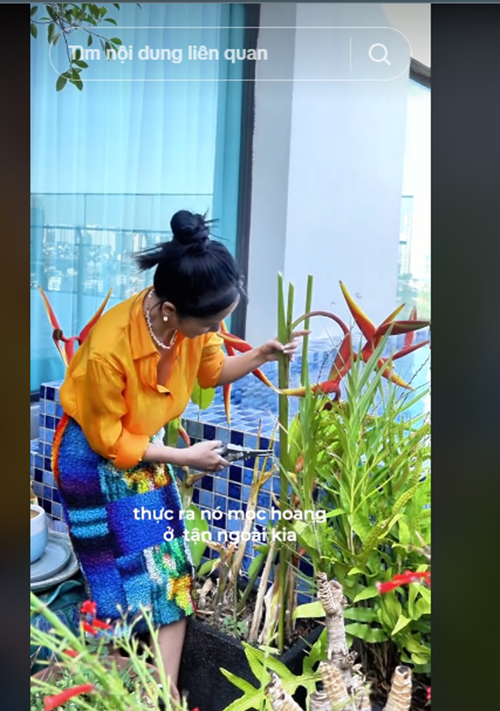 Nữ ca sĩ thi thoảng cắt hoa từ khu vườn trên cao gần bể bơi để cắm. Ảnh: TikTok Hồng Nhung.