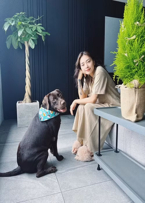 Vợ chồng Huy Trần hiện tại nuôi một chú chó cưng tên Yoda. Ảnh: Instagram Ngô Thanh Vân.