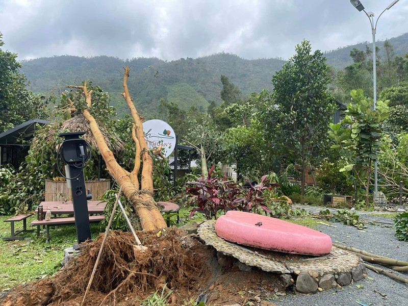  Ca sĩ Việt Hoàn vừa cập nhật hình ảnh về nhà vườn của mình sau cơn bão. Ảnh: FB Việt Hoàn.