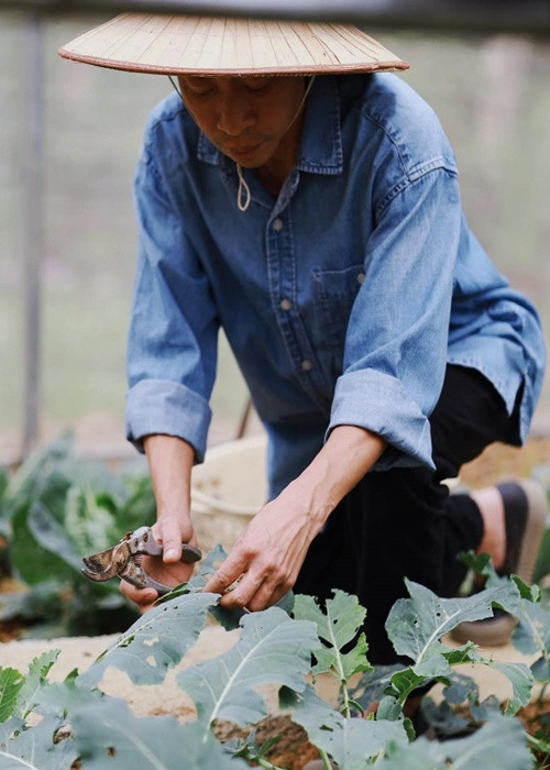 Nam ca sĩ mua hàng trăm loại cây về trồng. Ảnh: FB Việt Hoàn.