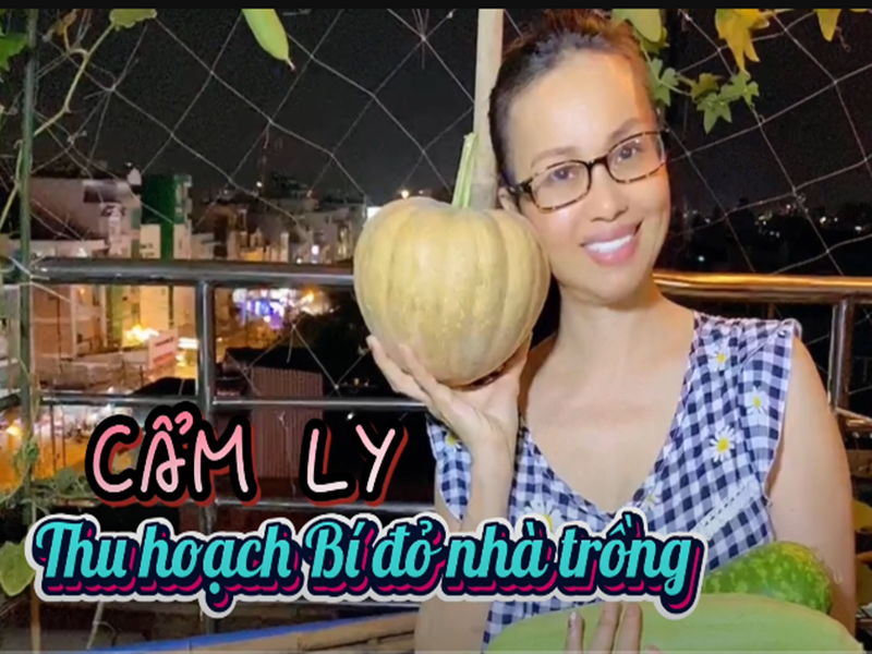 Biệt thự của Cẩm Ly có vườn ở khu vực sân nhà và tầng thượng. Khi rảnh rỗi, nữ ca sĩ chăm chút cây trái và thu hoạch rau củ. Ảnh: Youtube Cẩm Ly.