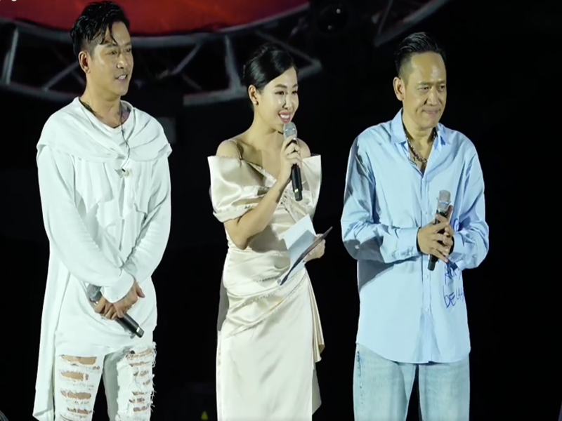 Trong đêm nhạc Tuấn Hưng - Duy Mạnh, Phạm Tố Quyên bị chê vì cắt lời MC Phan Anh và người đấu giá từ thiện. Ảnh: Vietnamnet.