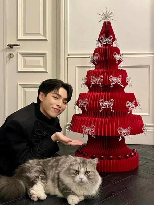 Đức Phúc trang trí nhà vào dịp Giáng sinh. Ảnh: FB Đức Phúc.