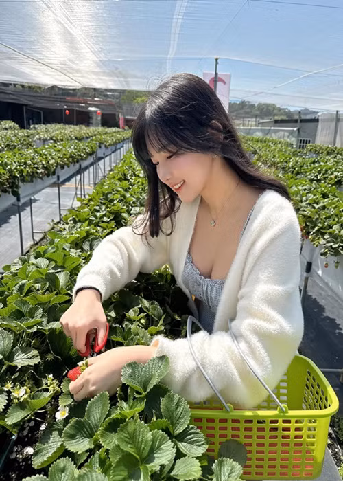 Lượng fan của Le Baby trên Facebook lên đến 2,5 triệu.