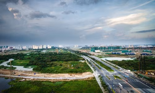 Dai gia dia oc doc tien vao 