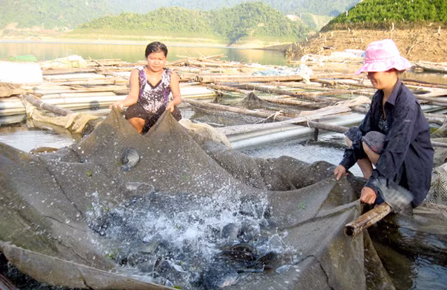 Vao tham son cung coc, canh dep nhu tien de nuoi ca sach-Hinh-3