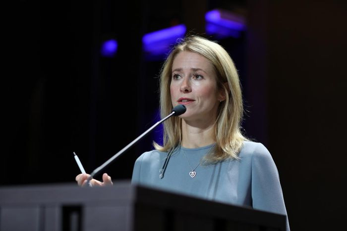 Trong cuộc bầu cử năm 2014, bà Kallas tranh cử vào Nghị viện Châu Âu. Tại Nghị viện Châu Âu, bà làm việc trong Ủy ban Công nghiệp, Nghiên cứu và Năng lượng.