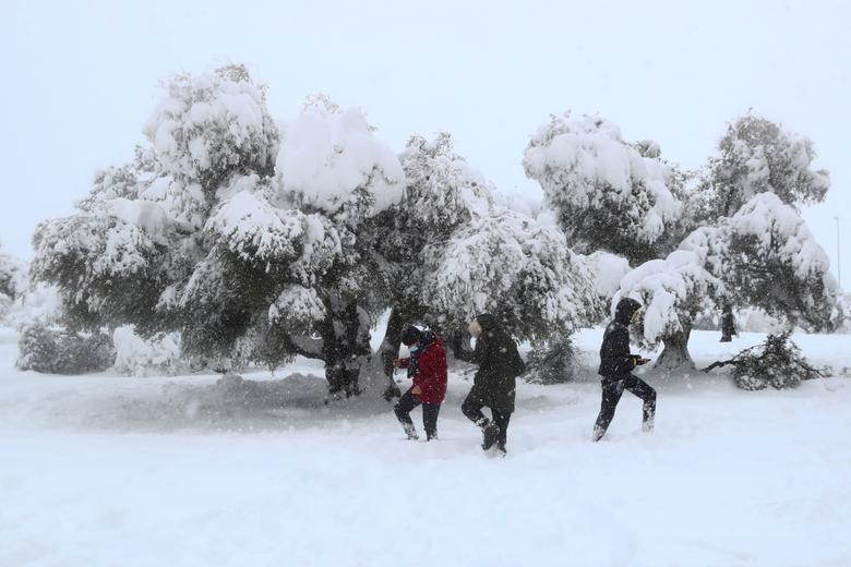 Bộ trưởng Nội vụ Tây Ban Nha, Fernando Grande-Marlaska, cho biết 1.500 người đã được giả cứu ở Madrid. Tuy nhiên, 650 con đường trên khắp Tây Ban Nha vẫn bị ảnh hưởng bởi bão tuyết.
