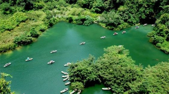 Bắc Giang là tỉnh thuộc vùng Đông bắc Bắc Bộ, phía Đông giáp Quảng Ninh, phía Bắc giáp Lạng Sơn, phía Tây giáp Thái Nguyên và thành phố Hà Nội, phía Nam giáp Bắc Ninh và Hải Dương. Bắc Giang có diện tích tự nhiên 3.849,5 km2.