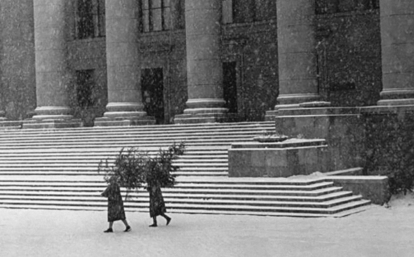 Hai người dân khiêng cây về nhà dưới trời mưa tuyết năm 1960.