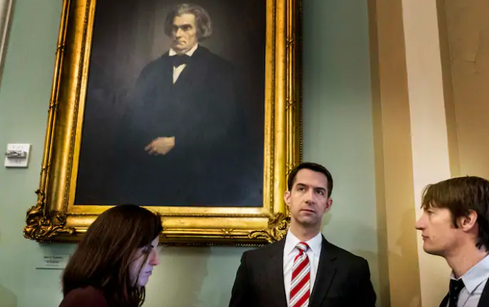 Năm 2014, ở tuổi 37, Tom Cotton đánh bại "đối thủ" Đảng Dân chủ Mark Pryor và trở thành Thượng nghị sĩ Mỹ từ tháng 1/2015. Ảnh: WP.