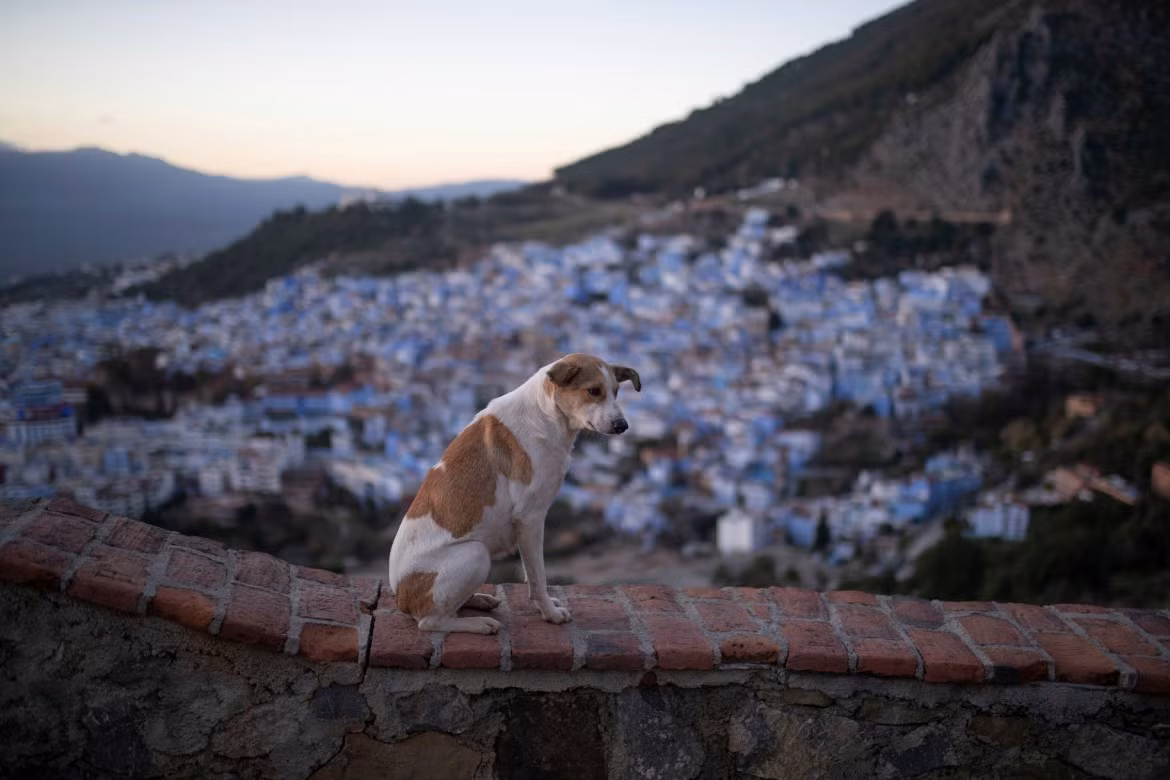 Cuoc song o thanh pho xanh “bi an” cua Ma-roc thoi COVID-19-Hinh-7
