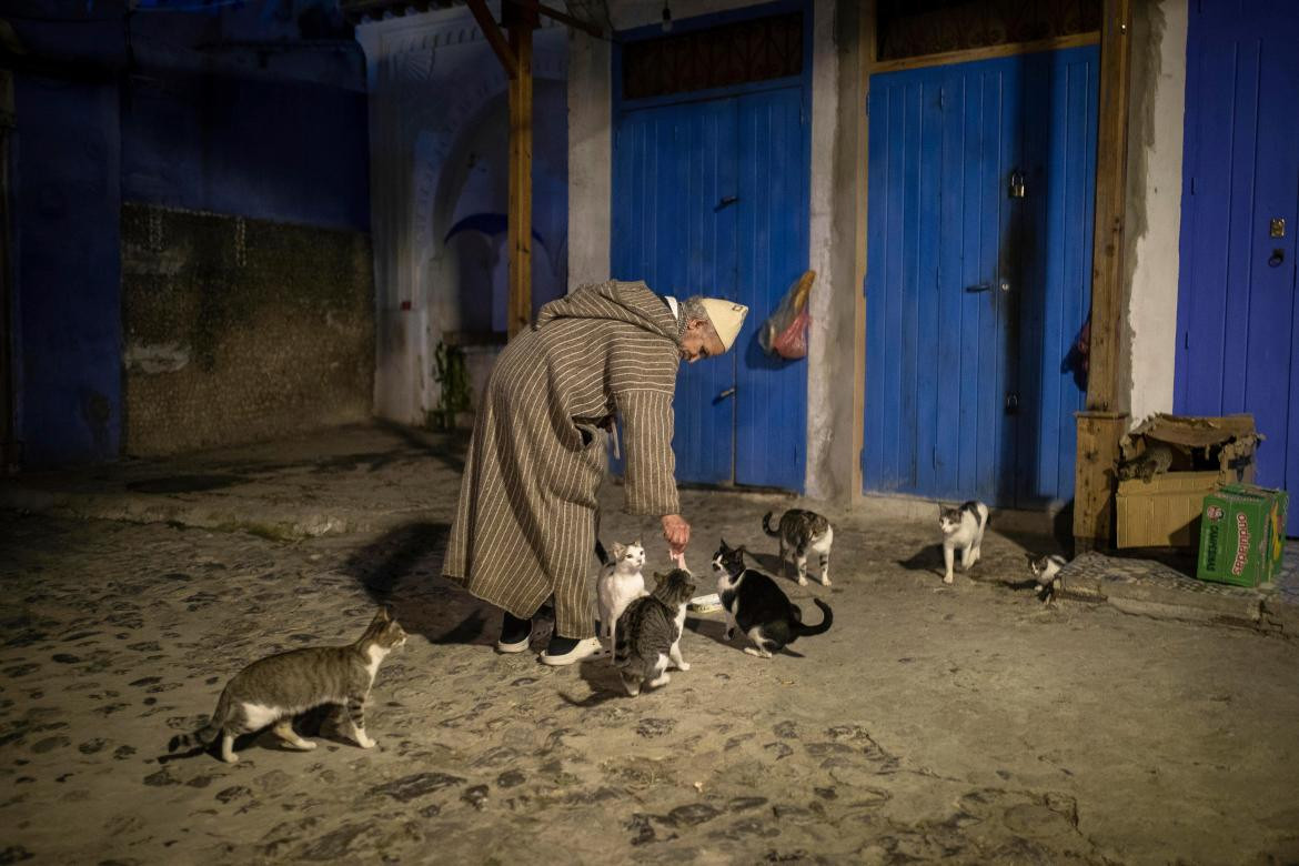 Chủ một cửa hàng cho những chú mèo ăn trên đường phố. Trong dịp nghỉ lễ giáng sinh và năm mới năm nay, đa số khách du lịch của thành phố là du khách địa phương, chứ không phải du khách đến từ Châu Âu như mọi năm.