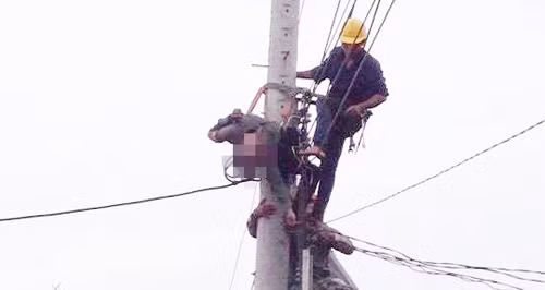 Thi cong tren cot dien, nhan vien dien luc bi dong nghiep… dong cau giao
