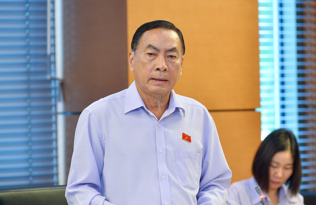 Dai bieu Quoc hoi hien giai phap kiem su “nhay mua” gia vang-Hinh-2