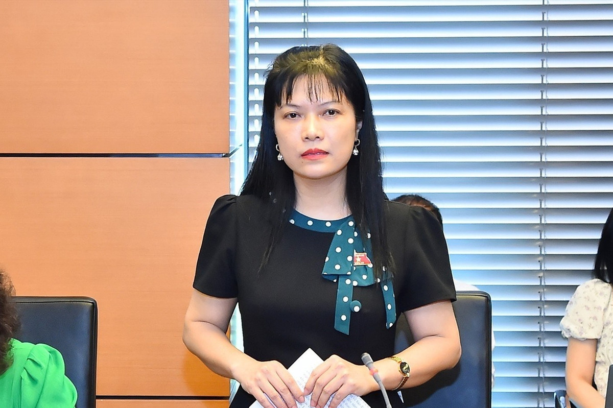 Dai bieu Quoc hoi hien giai phap kiem su “nhay mua” gia vang-Hinh-3