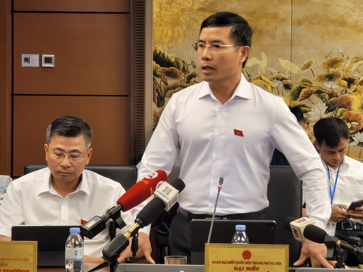 Dai bieu Quoc hoi hien giai phap kiem su “nhay mua” gia vang