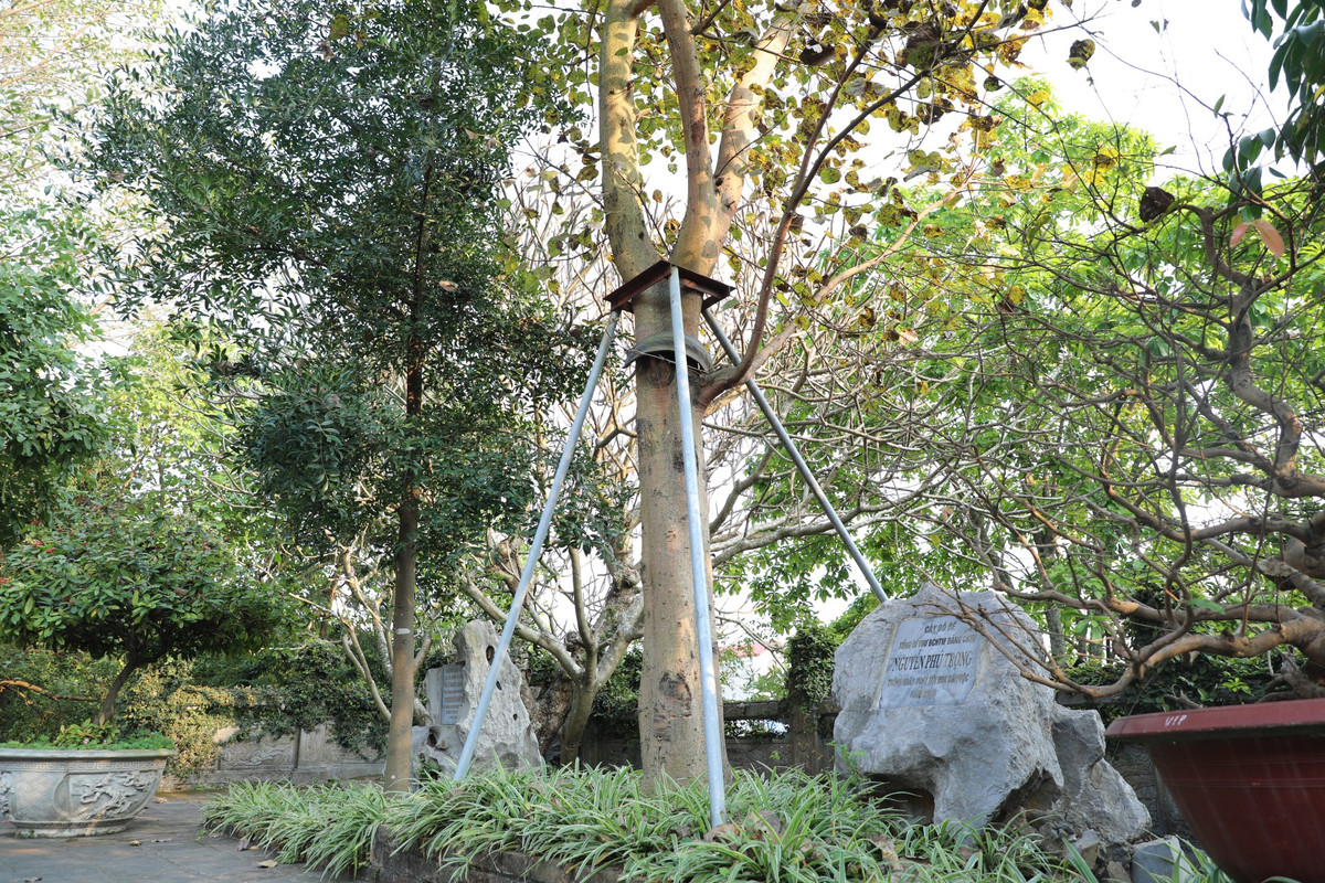 Năm 2016, nhân dịp về dự ngày hội Đại đoàn kết toàn Dân tộc - kỷ niệm 86 năm ngày thành lập MTTTQVN, Tổng Bí thư Nguyễn Phú Trọng đã đến dâng hương cúng Phật và trồng cây lưu niệm (cây bồ đề) tại chùa Phật Tích.