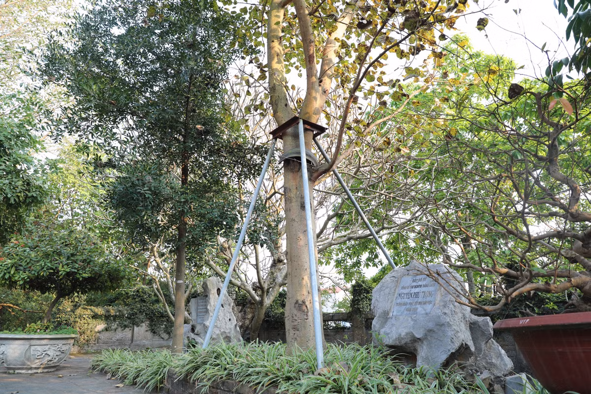 Năm 2016, nhân dịp về dự ngày hội Đại đoàn kết toàn Dân tộc - kỷ niệm 86 năm ngày thành lập MTTTQVN, Tổng Bí thư Nguyễn Phú Trọng đã đến dâng hương cúng Phật và trồng cây lưu niệm (cây bồ đề) tại chùa Phật Tích.