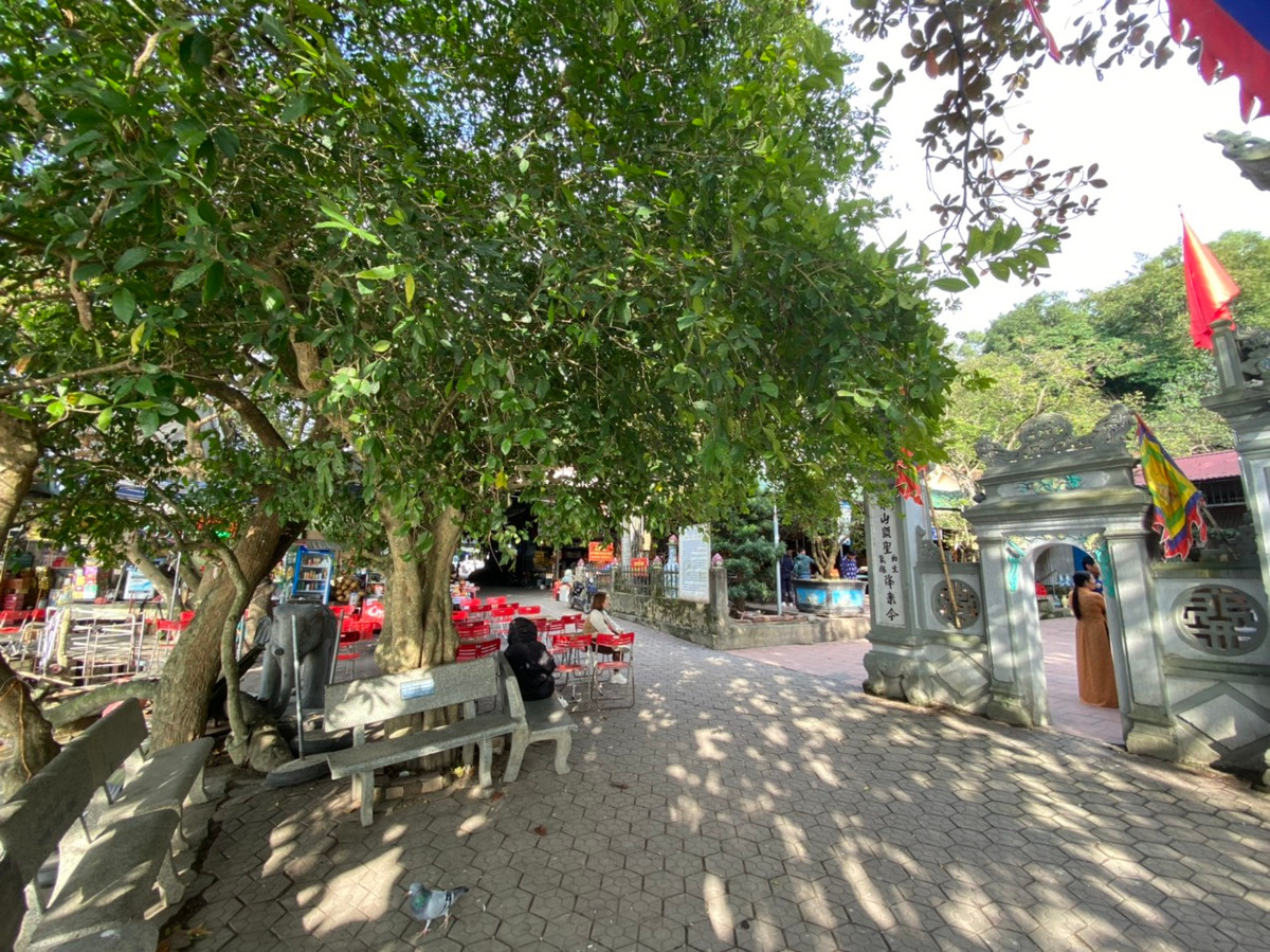 Đền Chợ Củi, theo truyền thuyết năm xưa chính là nơi di quan ông Hoàng Mười trôi về và hóa. Ngày ông giáng sinh 10/10 âm lịch được coi là tiệc chính của ông. Vào ngày này, du khách thập phương nô nức đến chiêm bái, cửa đền ông thật là tấp nập, trải dài đến tận đôi bờ sông Lam. Người ta dâng ông: cờ quạt bút sách … để cầu tài cầu lộc cũng là cầu mong cho con em được đỗ đạt khoa cử, thành tài để làm rạng danh tổ tông.