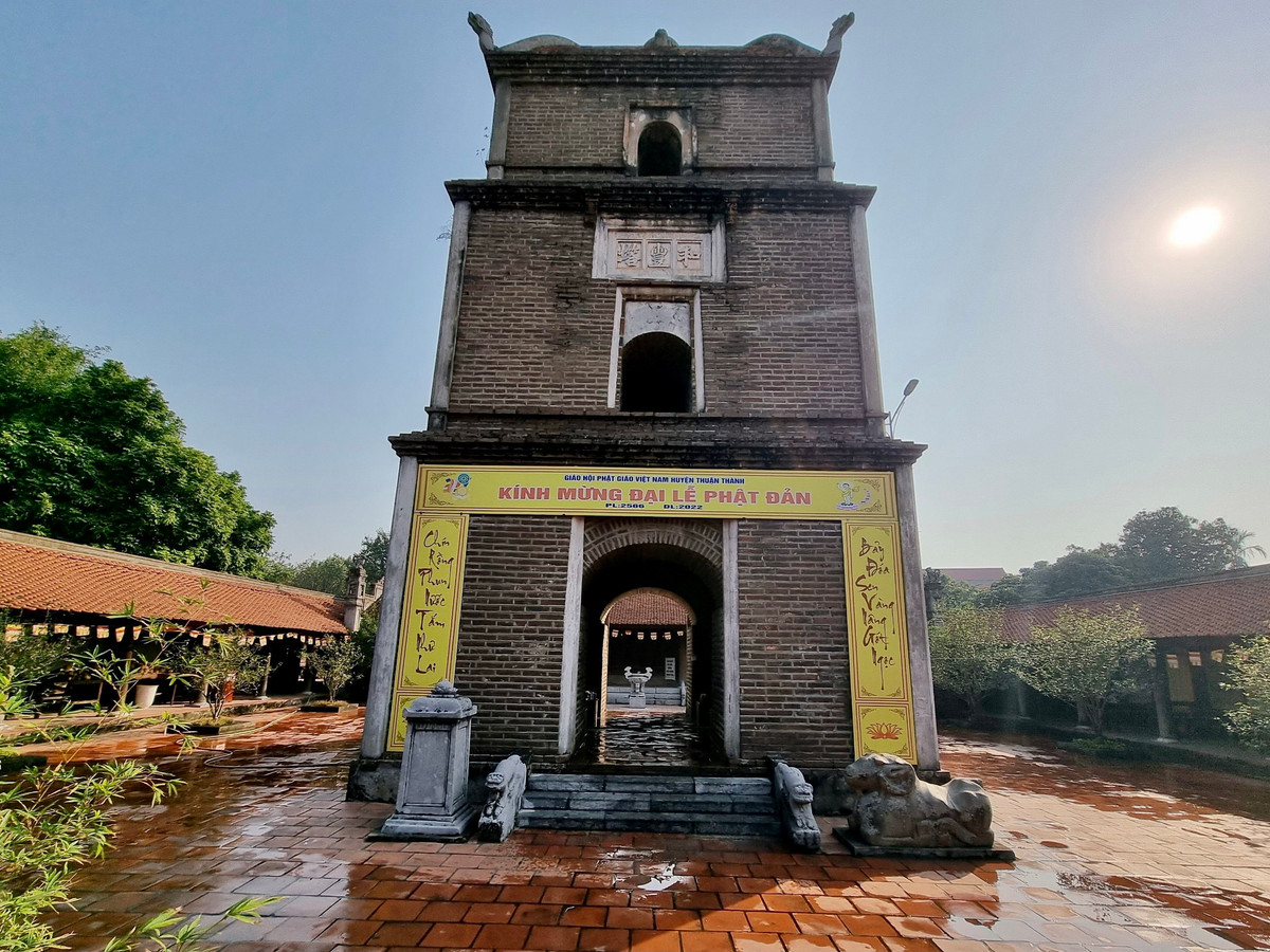 Nổi bật nhất trong các công trình của chùa là tòa tháp Hòa Phong được xây bằng gạch nung già, với 3 tầng, cao 15 m. Theo thư tịch cổ, vào thời Trần, Trạng nguyên Mạc Đĩnh Chi cho trùng tu chùa Dâu, xây tháp cao 9 tầng. Nhưng kiến trúc của tòa tháp hiện còn là của thời Lê Trung Hưng.