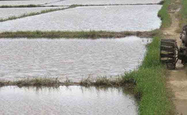  Phát hiện thi thể người đàn ông dưới mương nước: Sáng 18/12, trong lúc đi làm đồng người dân phát hiện một người đàn ông chết đưới kênh C3, đoạn giáp ranh giữa xã Tây Hồ và thị trấn Thọ Xuân (huyện Thọ Xuân, tỉnh Thanh Hóa). Danh tính nạn nhân là Lê Khắc M. (SN 1961; ngụ thị trấn Sao Vàng, huyện Thọ Xuân). Được biết, ông M. thường xuyên uống rượu và bỏ nhà đi lang thang. 