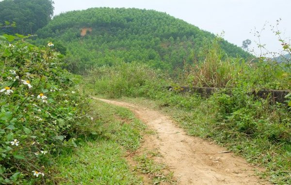 Vu nguoi dan ong bi cat dut “cua quy“: Hung thu tan nhan, de hen