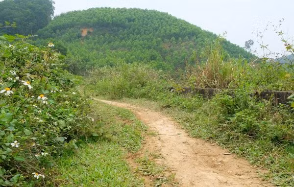 Vu nguoi dan ong bi cat dut “cua quy“: Hung thu tan nhan, de hen