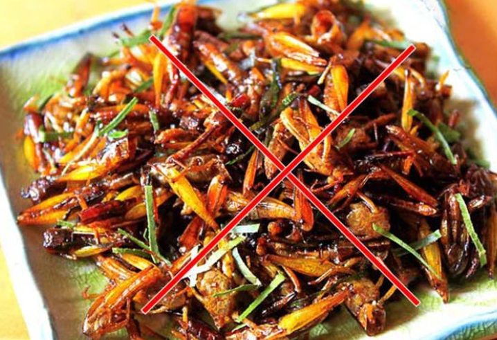 Chau chau rang va loat mon gay soc phan ve nguy hiem