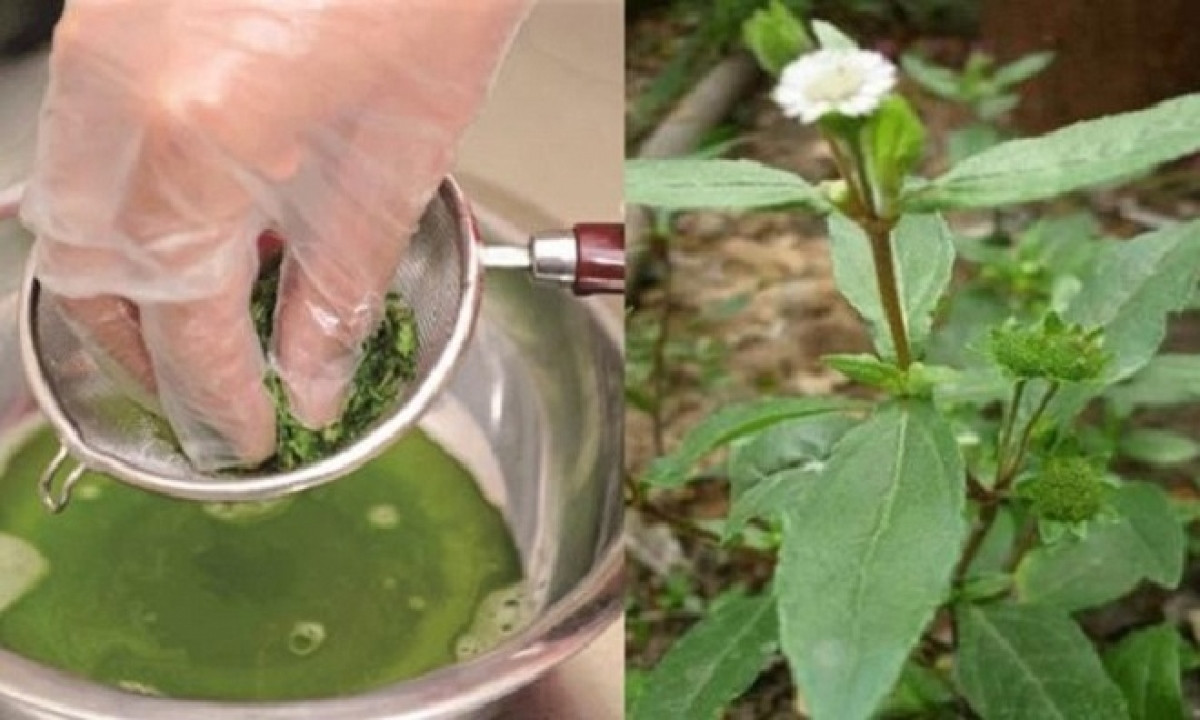 Viem gan cap, thung da day...vi tu y uong thuoc nam-Hinh-2