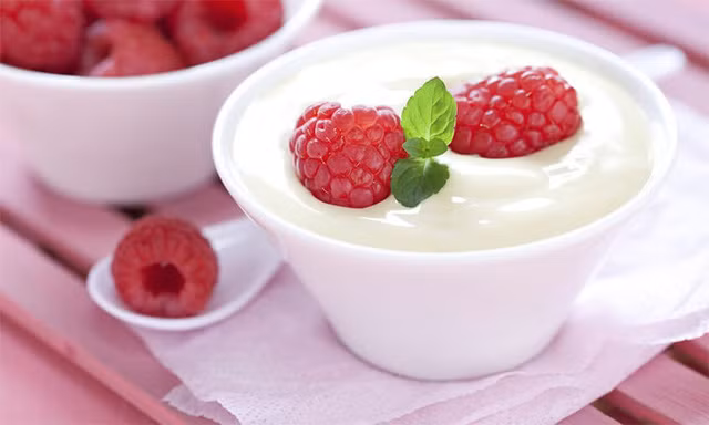 Sữa chua là nguồn protein tuyệt vời cho cơ thể con người, chứa nhiều lợi khuẩn tốt cho đường ruột và là người bạn trên hành trình giảm cân của phái đẹp.