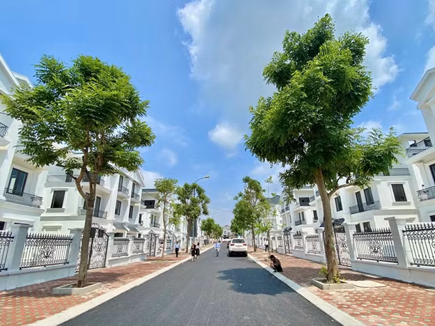 Bat dong san Nhat Nam gia tang quy dat don dau co hoi