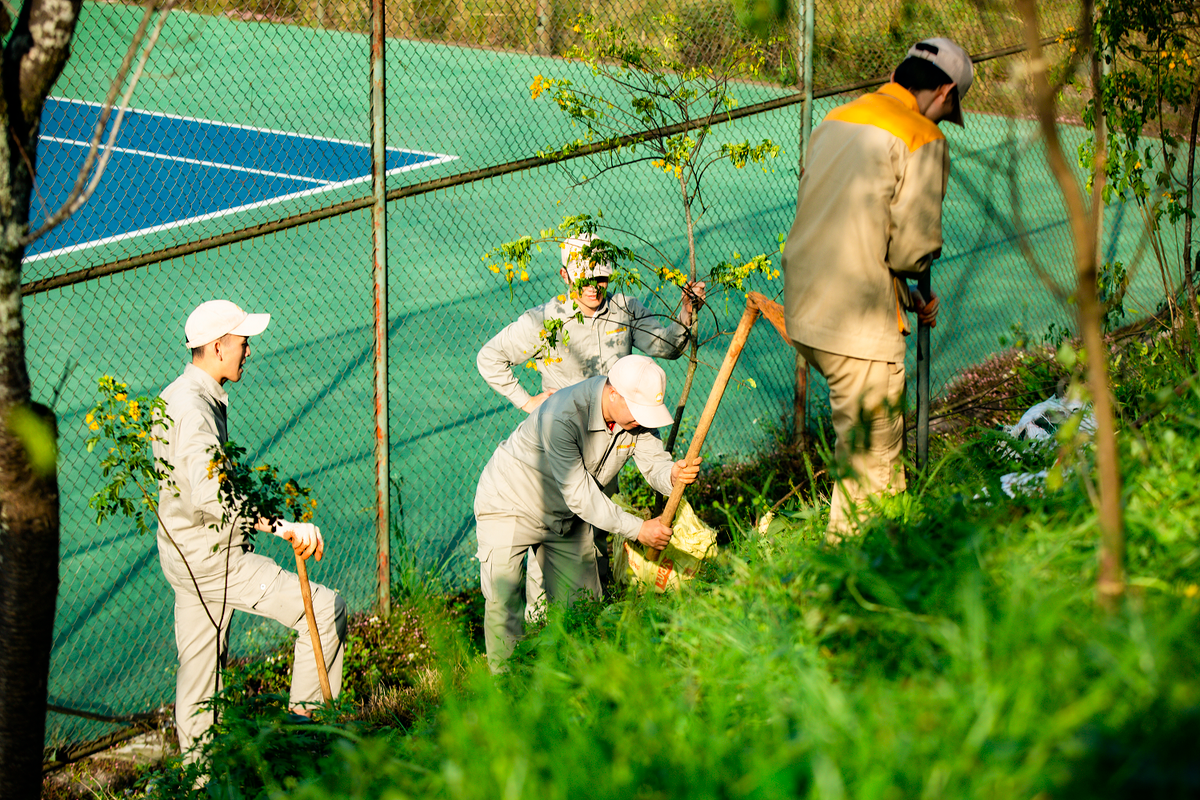 Sa Pa ra quan don dep va trong hang nghin cay xanh-Hinh-3