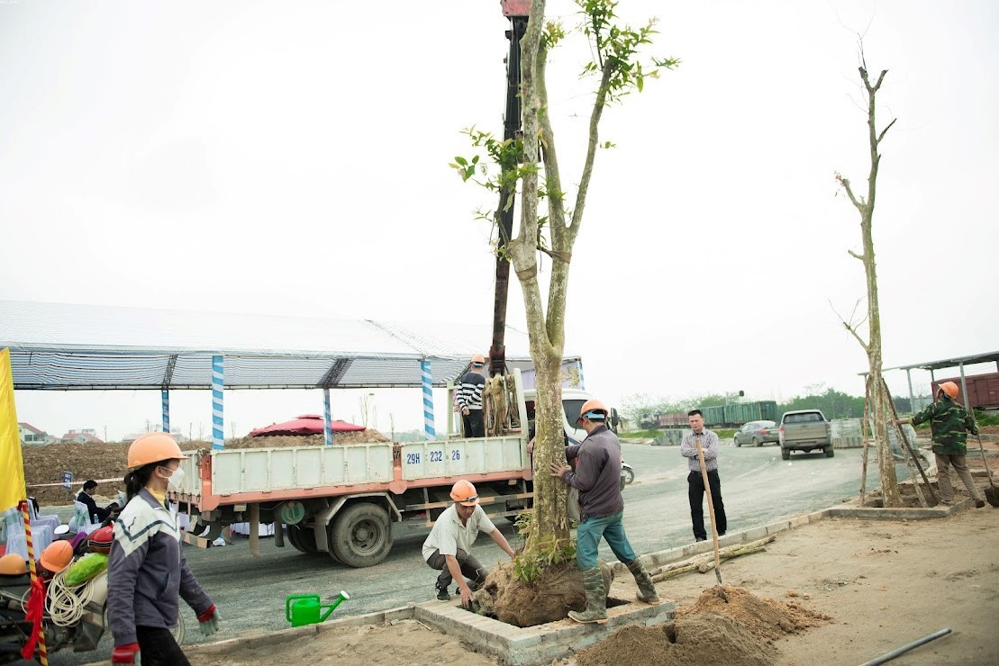 TNG Holdings Vietnam phat dong Tet trong cay, tao khong gian xanh cho do thi-Hinh-3