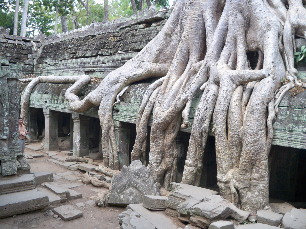 Thậm chí trong đền còn có cả quả cây. Ngôi đền Ta Prohm nằm trong danh sách di sản thế giới của UNESCO.