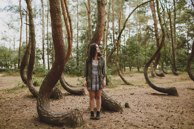 Đến nay, những cây này vẫn là một bí ẩn chưa có lời giải đáp.