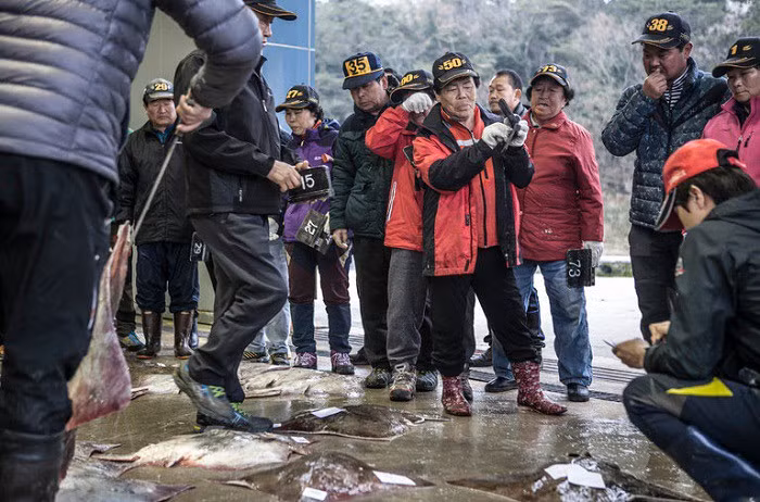  Cá đuối xử lí chất thải của chúng qua lớp da và thoát ra ngoài dưới dạng acid uric. Khi cá lên men, acid uric trong da chúng chuyển thành amoniac (giống mùi nước tiểu).