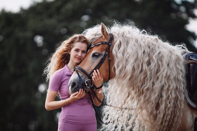 Chú ngựa thuộc giống Haflinger, hiện sống ở Hà Lan sở hữu một chiếc bườm xoăn dài tuyệt đẹp.