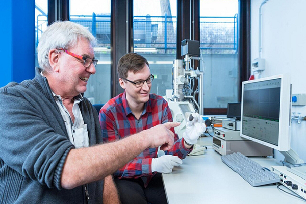 Kết quả ban đầu chỉ ra thiên thạch Flensburg thuộc loại carbonaceous chondrite vô cùng hiếm. Loại thiên thạch này có giá trị khoa học lớn nhưng cũng rất mong manh, có thể vỡ khi gặp mưa.