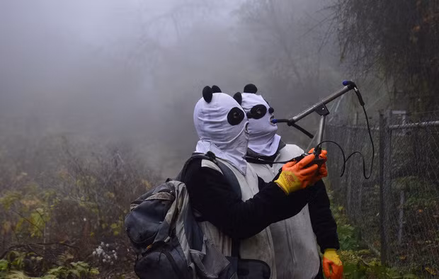 Bất kì ai cũng phải tan chảy với sự hóa trang đáng yêu này.