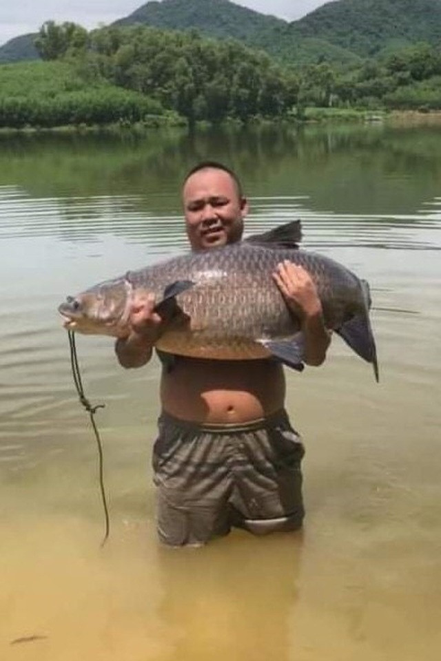 Ngày 12/9/2020, Một cần thủ đã may mắn câu được con cá trắm đen nặng 35kg, dài tới 1,5m sau một ngày vật lộn trên đập thủy lợi ở huyện Tân Kỳ (Nghệ An).