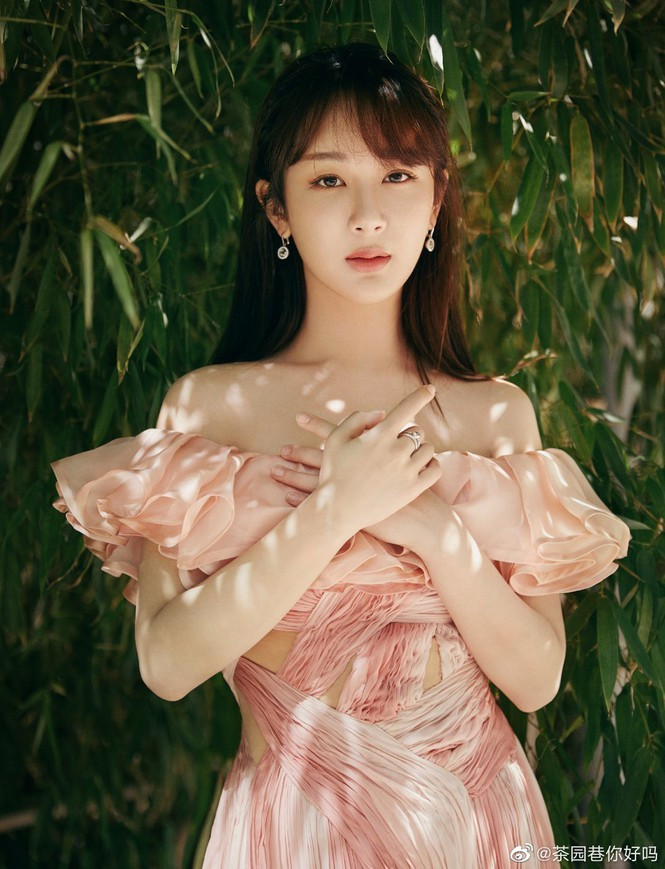 Nhan sắc xinh đẹp, kiều diễm của Dương Tử được khen ngợi hết lời trong lần xuất hiện này.