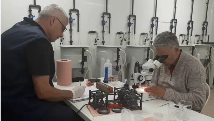 Đây được xem là một dự án mũi nhọn của Viện Nghiên cứu &amp; Khám phá biển (IFREMER) và Trung tâm Nghiên cứu Không gian thuộc Đại học Montpellier (CSUM) tại Pháp, Lunar Hatch được xây dựng nhằm làm tăng cường năng lực tự cung cấp thực phẩm của các cộng đồng dân cư tương lai trên Mặt Trăng hay sao Hỏa.