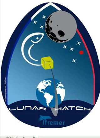 Chương trình Lunar hatch là chương trình dự định giúp các phi hành gia sinh sản cá trong không gian từ năm 2021.