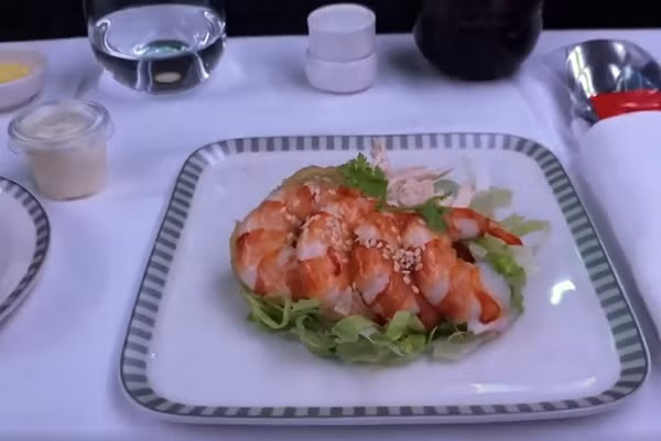 Đậu tại phi trường Changi, máy bay A380 chỉ đón khách trong ngày 24 và 25/10. Thực khách sẽ chiêm ngưỡng máy bay trước khi ăn. Họ cũng xem các chương trình giải trí trong lúc họ ăn.