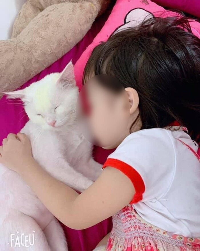 Ngày 12/10 bé bắt chước theo trò chơi thắt cổ đăng tải trên YouTube. Chỉ vài phút không để ý đến khi gia đình phát hiện, bé đã bất tỉnh trong tư thế treo cổ. Mặc dù được các y bác sĩ tích cực cứu chữa nhưng bé gái tử vong ngay sau đó ít giờ.