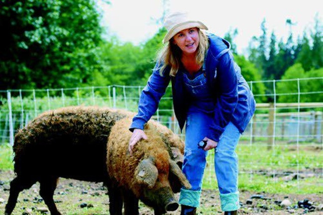Giống lợn Mangalica là kết quả lai từ giống lợn Bakony và Szalonta với giống lợn Šumadija của Serbia.