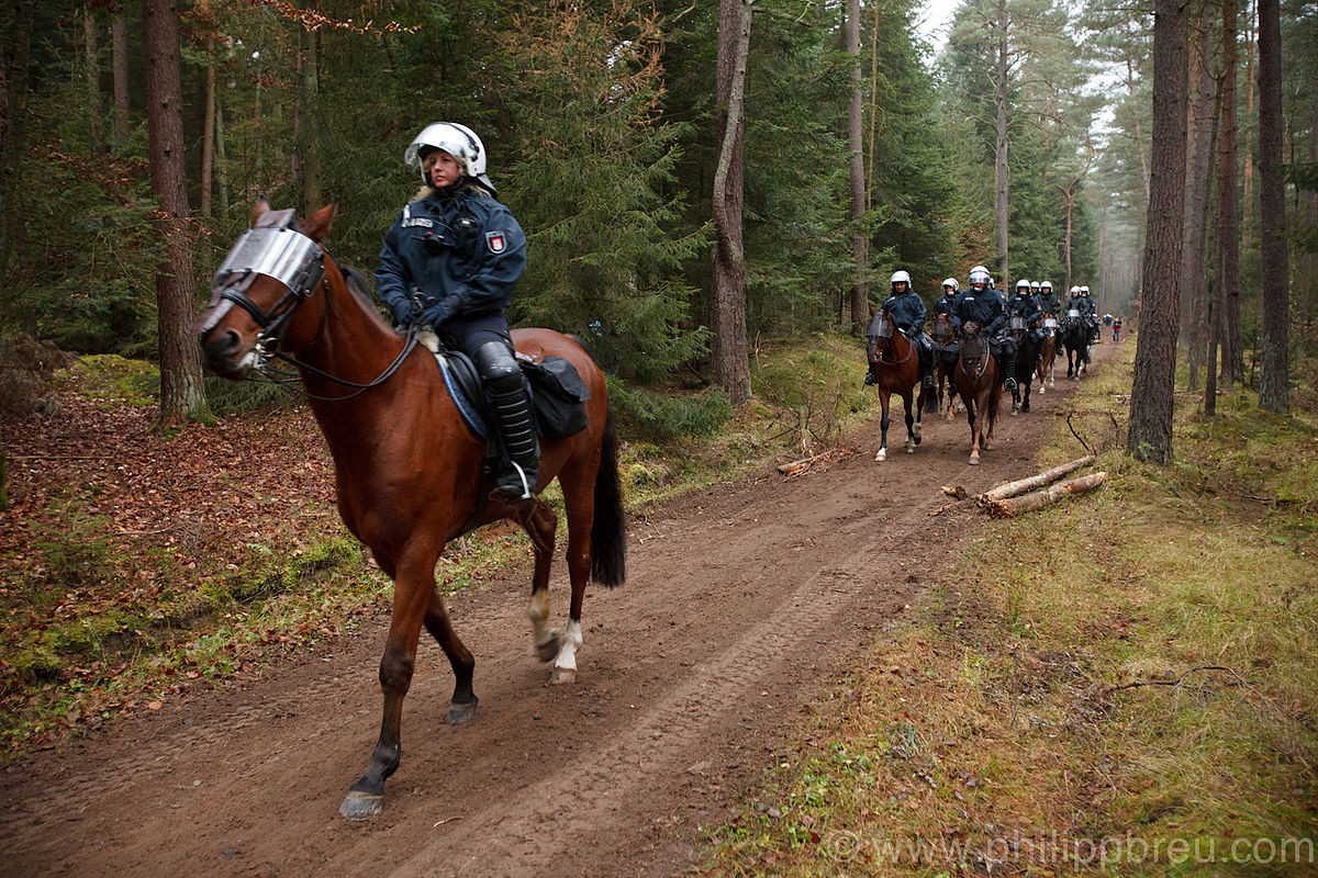 Chức năng của lực lượng cảnh sát kỵ binh là tuần tra trên các đường phố, đảm bảo an ninh trật tự, có tầm nhìn bao quát từ trên lưng ngựa và tốc độ nhanh, trấn áp những cuộc biểu tình, bạo động quá khích và tham gia các nghi lễ đặc biệt. Ảnh: Lực lượng cảnh sát kỵ binh chống bạo động của Đức.