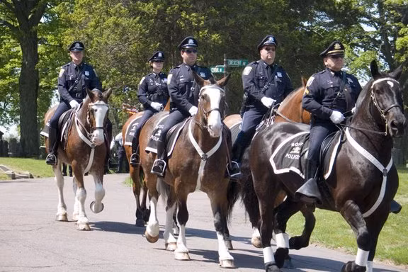 Một trong những lực lượng cảnh sát kỵ binh nổi tiếng nhất trên thế giới là The United States Park Police Horse Mounted Patrol - USPP (cảnh sát kỵ binh tuần tra công viên Mỹ). Đây là lực lượng thực thi pháp luật sử dụng ngựa có tuổi đời lâu nhất của Hoa Kỳ khi được thành lập từ năm 1934. Được sử dụng bởi cảnh sát Washington DC, New York và San Francisco. Ảnh: Cảnh sát kỵ binh tuần tra trên một đường phố tại Mỹ.