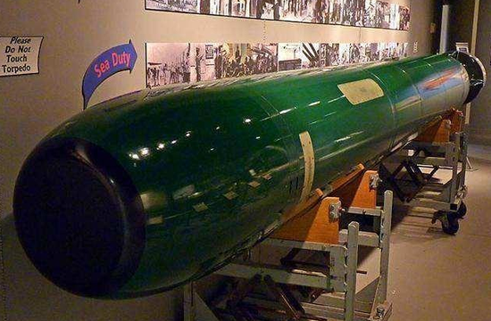 Nhiên liệu sử dụng cho động cơ là nhiên liệu Otto II, loại nhiên liệu này có độ ổn định nhiệt tốt, để đảm bảo sinh điện liên tục và ổn định. Đồng thời chất Otto II thường rất ổn định, ít bị hư hỏng trong nhiều năm và không bị ăn mòn, bảo đảm bảo ngư lôi luôn sẵn sàng chiến đấu cao và hiệu quả.